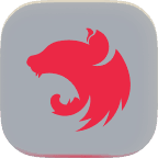 NestJS Development