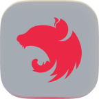 NestJS Development